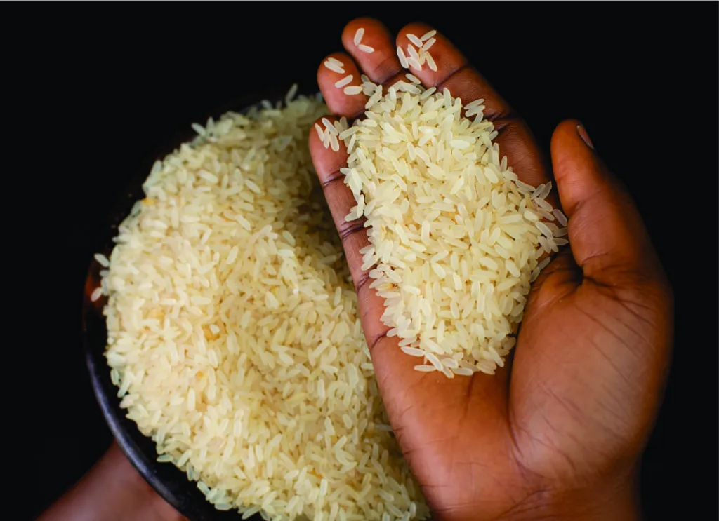 Impact Grains Premium Quality Rice